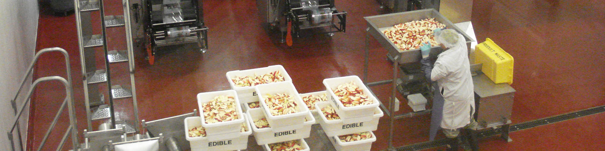 a worker processing apple slices at CF Oswego, the home of Grab Apples
